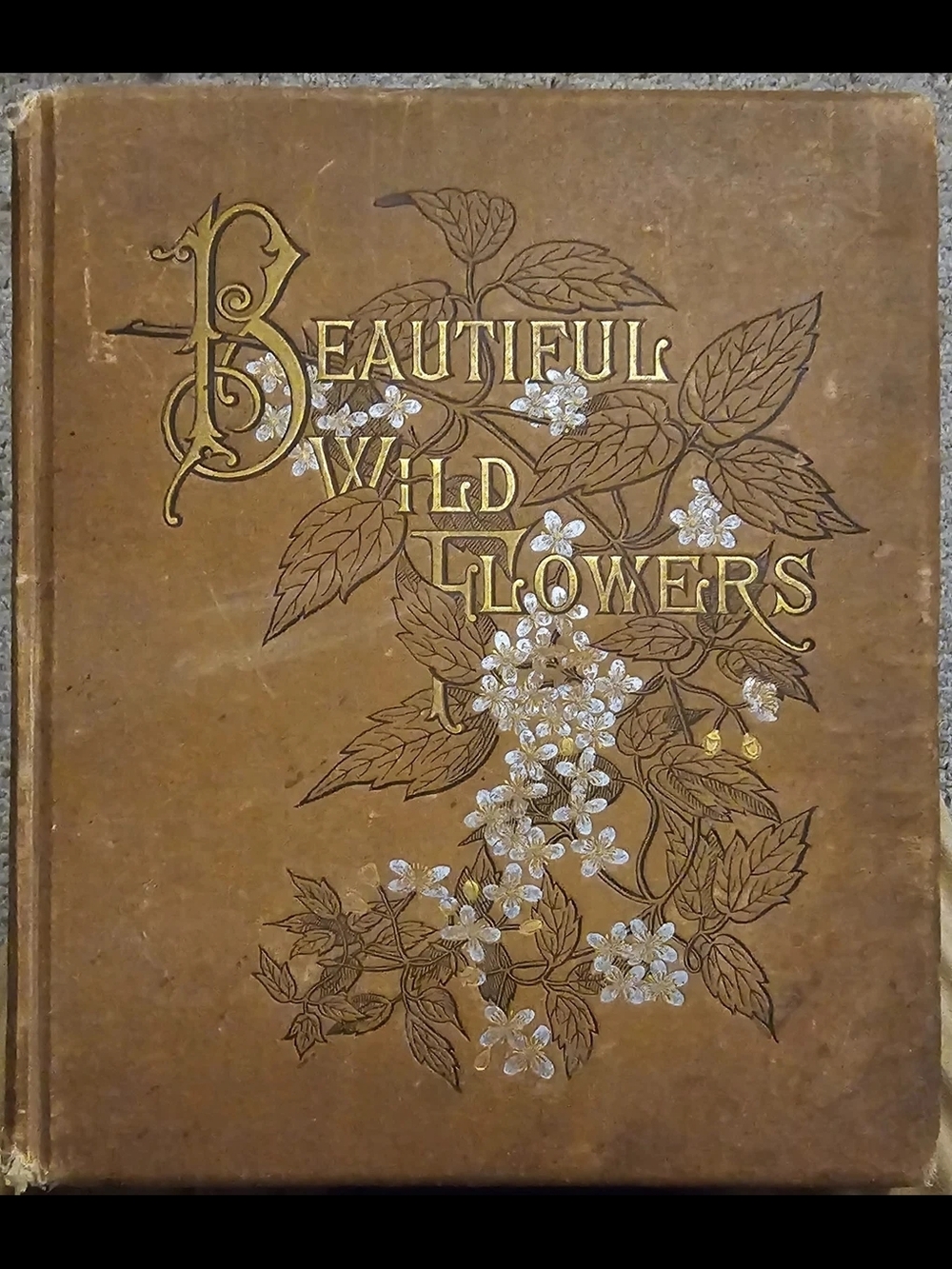 Beautiful Wild Flowers By Isaac Sprague, 1882 Edition